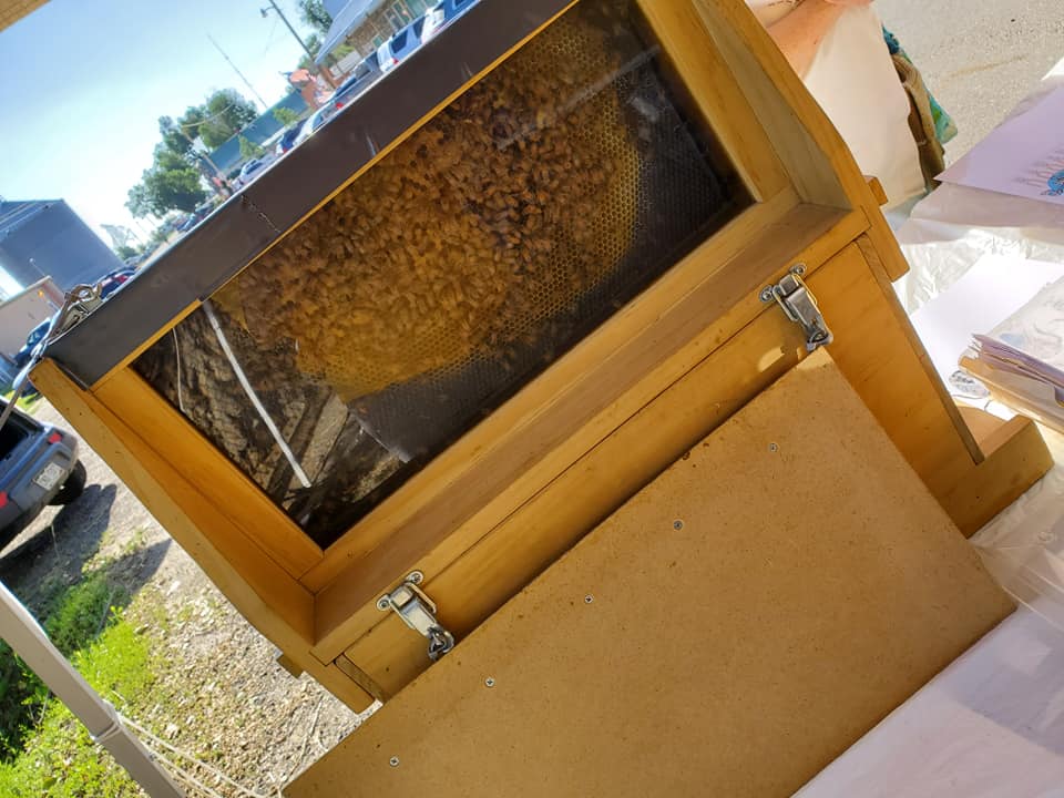 booth observation hive